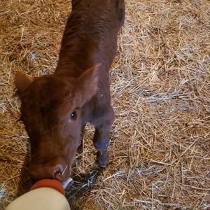 Meet your Posher, Rianne